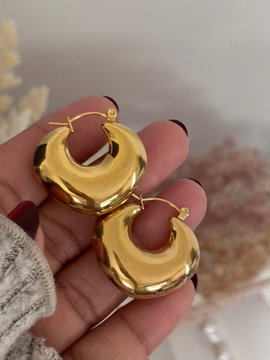 Aretes - Golden Glow Hoops ✨