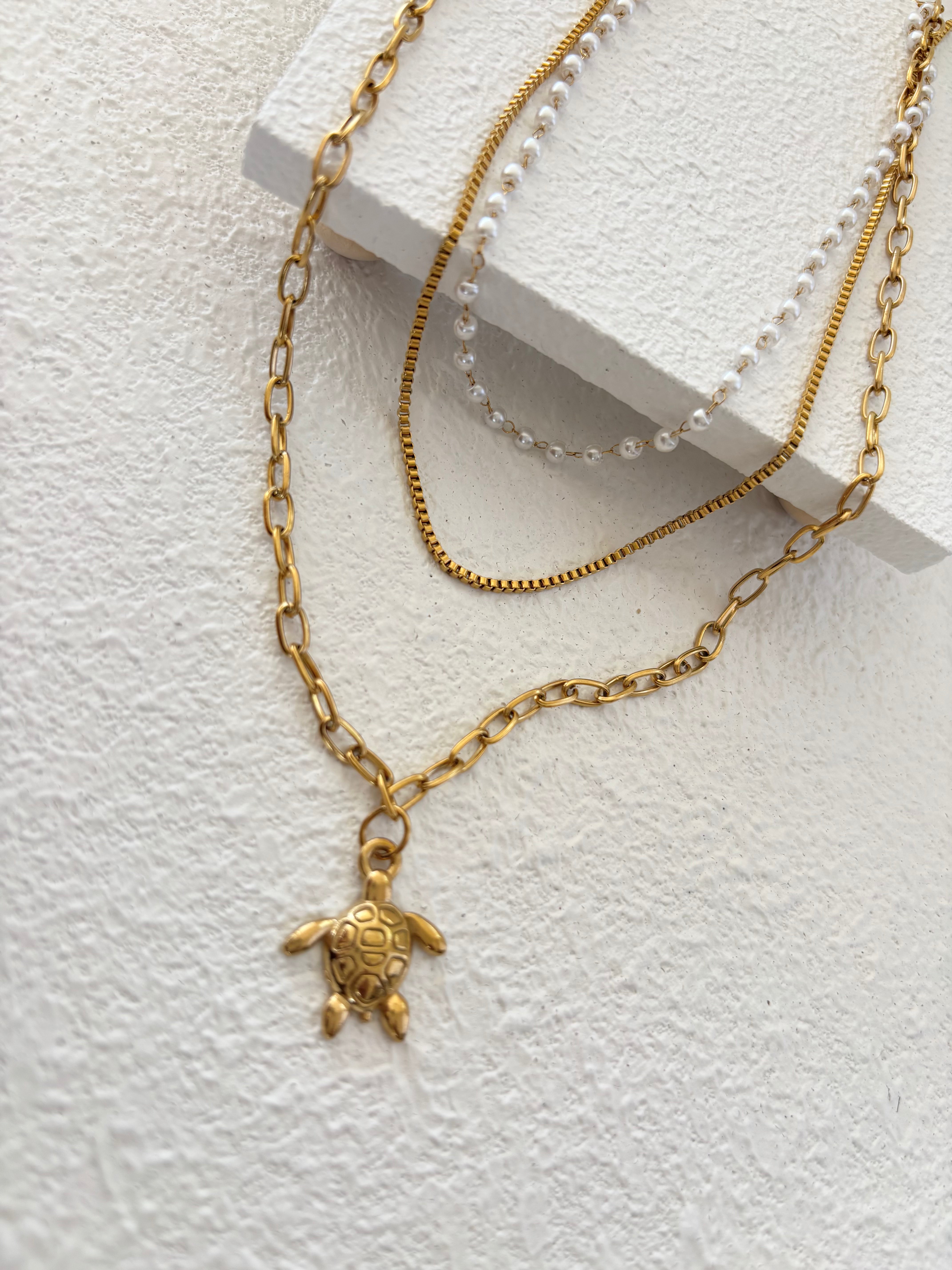 Turtly – Collar de Acero Inoxidable 304 Baño en Oro 18K